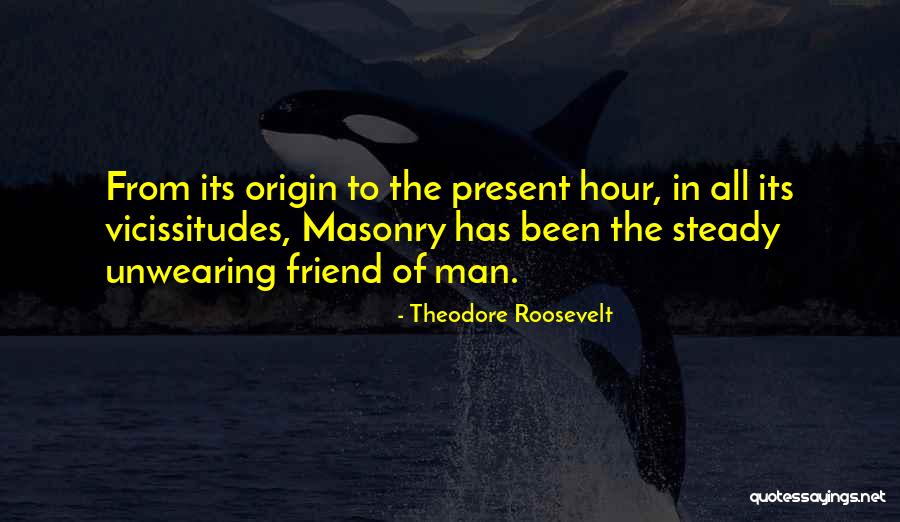 Vicissitudes Quotes By Theodore Roosevelt Vicissitudes Quotes By Theodore Roosevelt