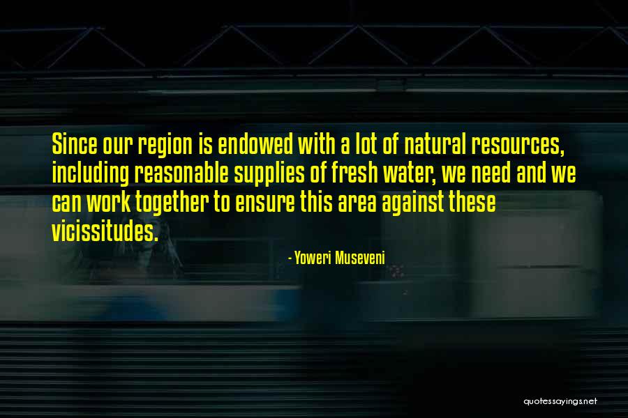 Vicissitudes Quotes By Yoweri Museveni Vicissitudes Quotes By Yoweri Museveni