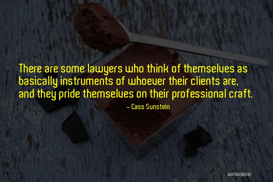 Vicissitudes Significado Quotes By Cass Sunstein Vicissitudes Significado Quotes By Cass Sunstein