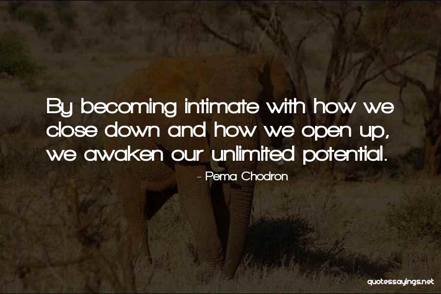 Vickii Gervais Quotes By Pema Chodron Vickii Gervais Quotes By Pema Chodron