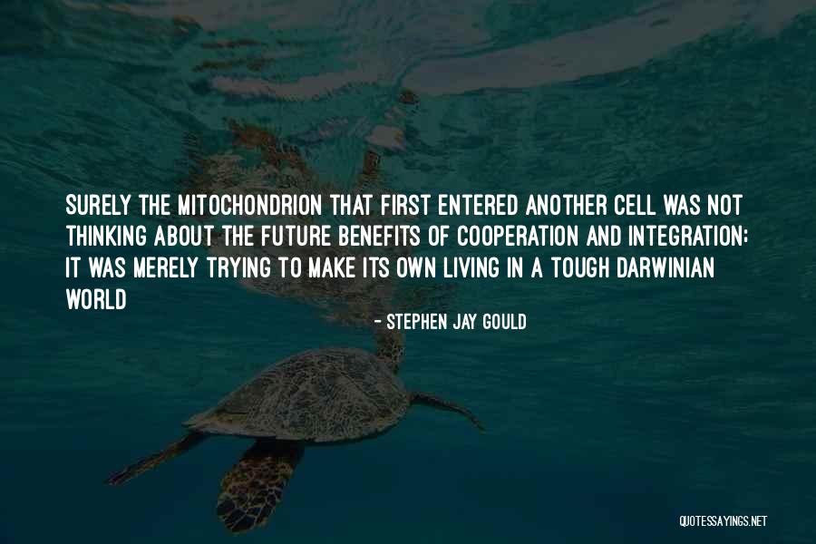 Vicklyn Joseph Quotes By Stephen Jay Gould Vicklyn Joseph Quotes By Stephen Jay Gould
