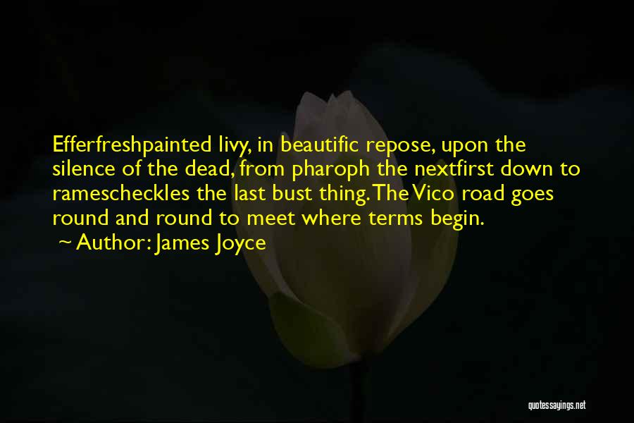 Vico C Quotes By James Joyce