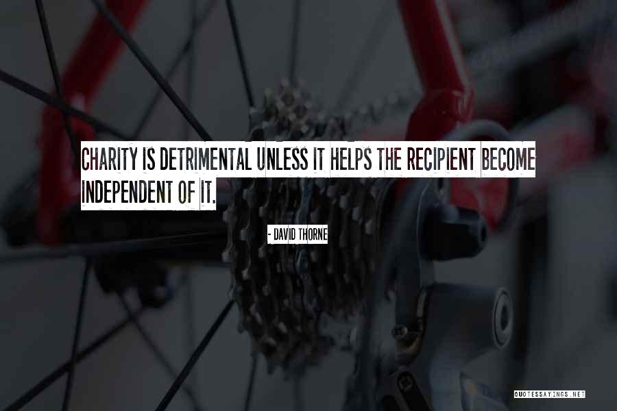 Vicos Quotes By David Thorne