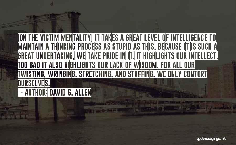 Victim Mentality Quotes By David G. Allen