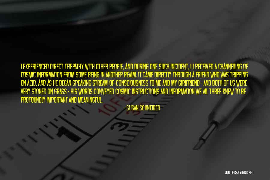 Victimes Quotes By Susan Schneider Victimes Quotes By Susan Schneider