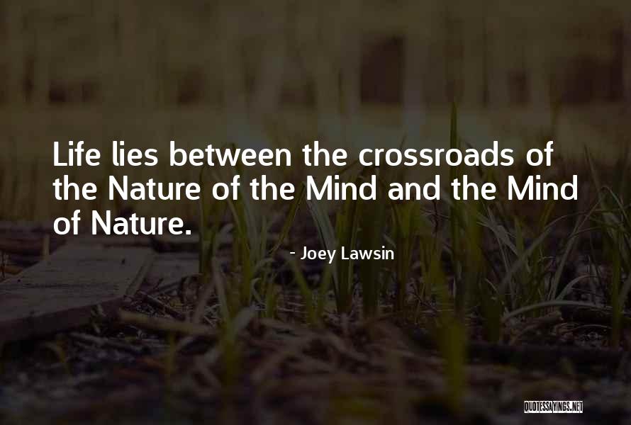 Victoire Dauxerre Quotes By Joey Lawsin Victoire Dauxerre Quotes By Joey Lawsin