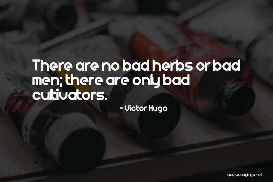 Victor Hugo Quotes 1576762