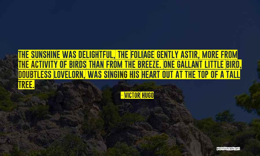 Victor Hugo Quotes 1886087