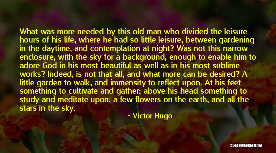 Victor Hugo Quotes 573931