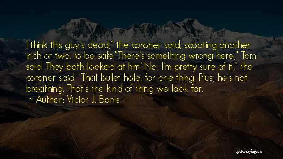 Victor J. Banis Quotes 1420142