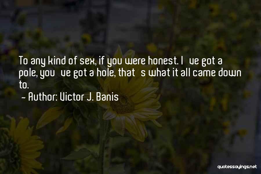 Victor J. Banis Quotes 2159111
