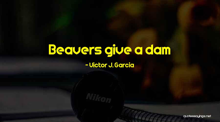 Victor J. Garcia Quotes 2147854