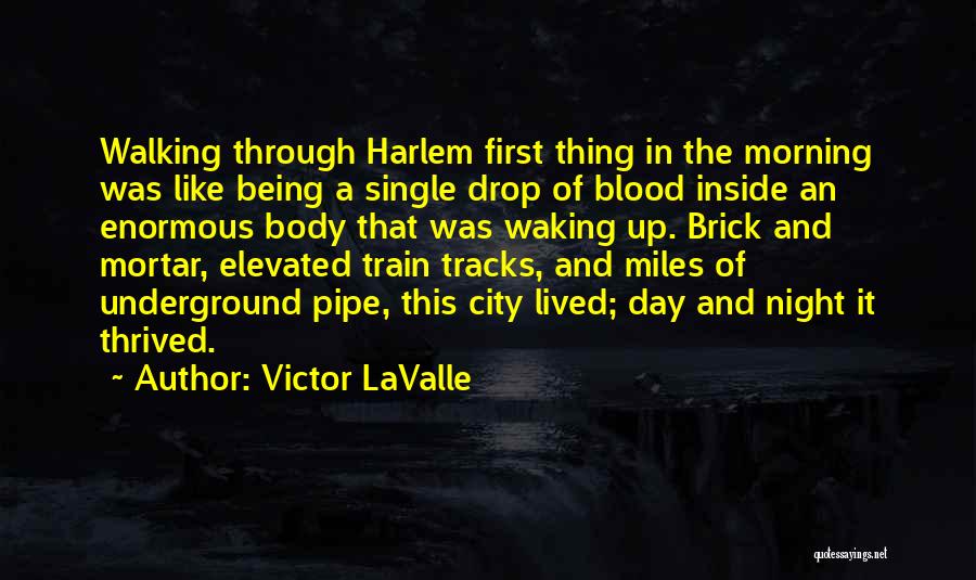 Victor LaValle Quotes 278507