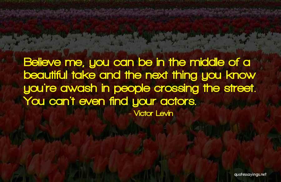 Victor Levin Quotes 1180816