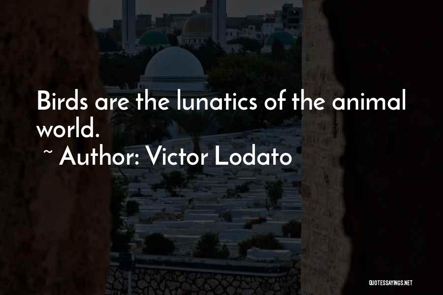 Victor Lodato Quotes 729127