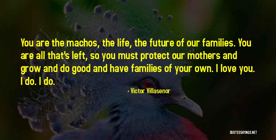 Victor Villasenor Quotes 1082411