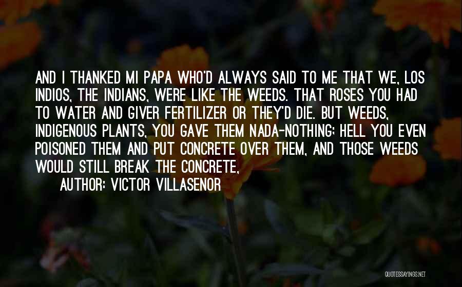 Victor Villasenor Quotes 2201162
