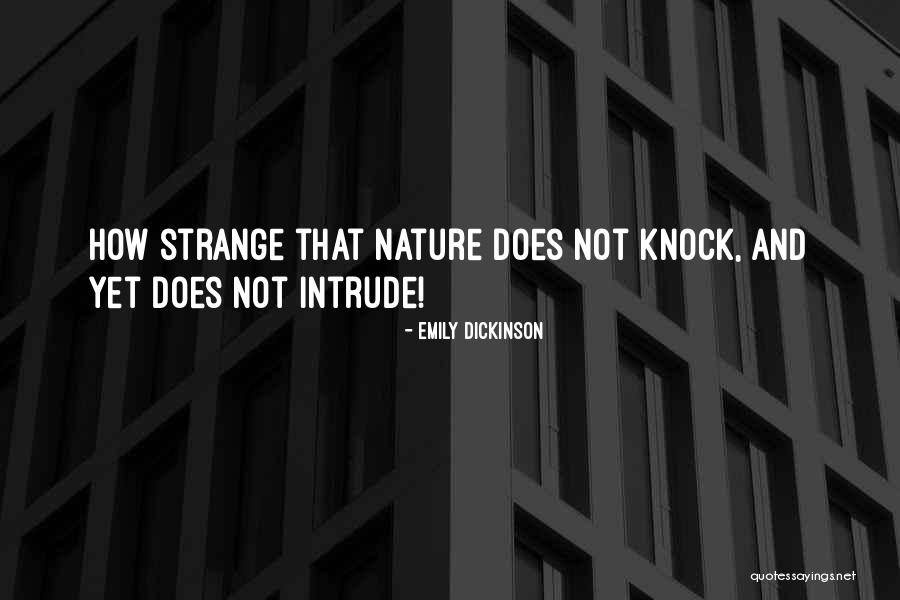 Victoria Albert Quotes By Emily Dickinson Victoria Albert Quotes By Emily Dickinson