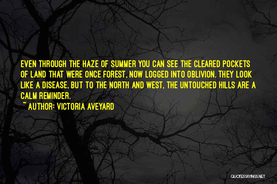 Victoria Aveyard Quotes 117646