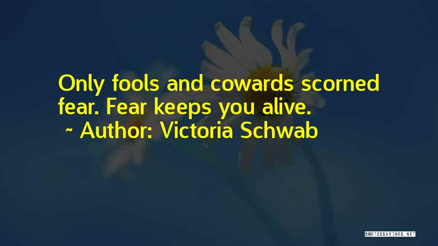 Victoria Schwab Quotes 1108595