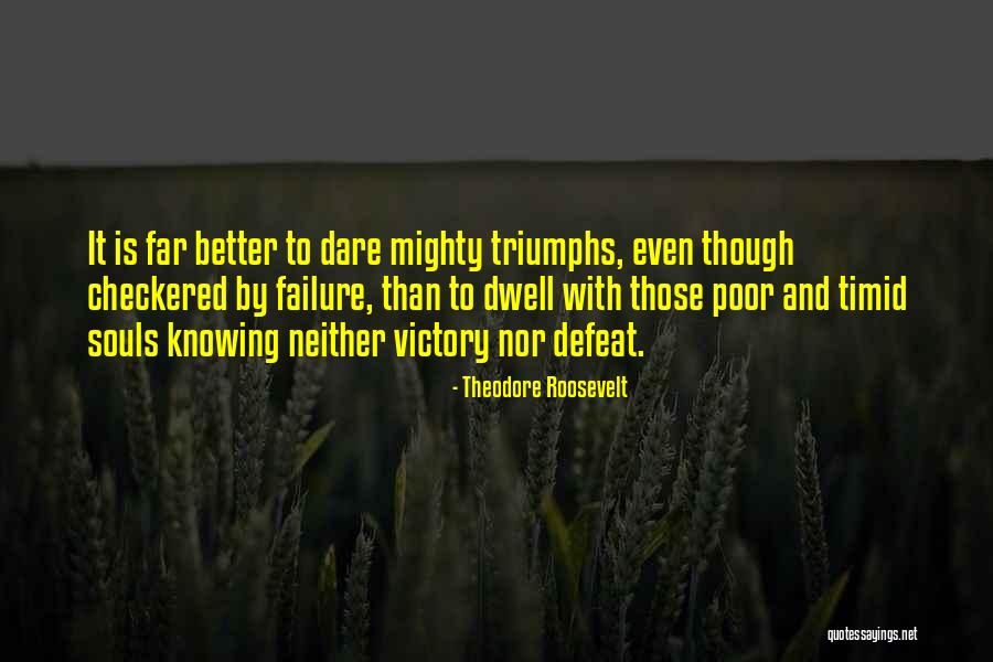 Victory And Failure Quotes By Theodore Roosevelt