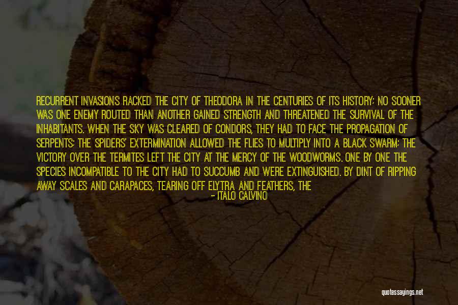 Victory And History Quotes By Italo Calvino Victory And History Quotes By Italo Calvino