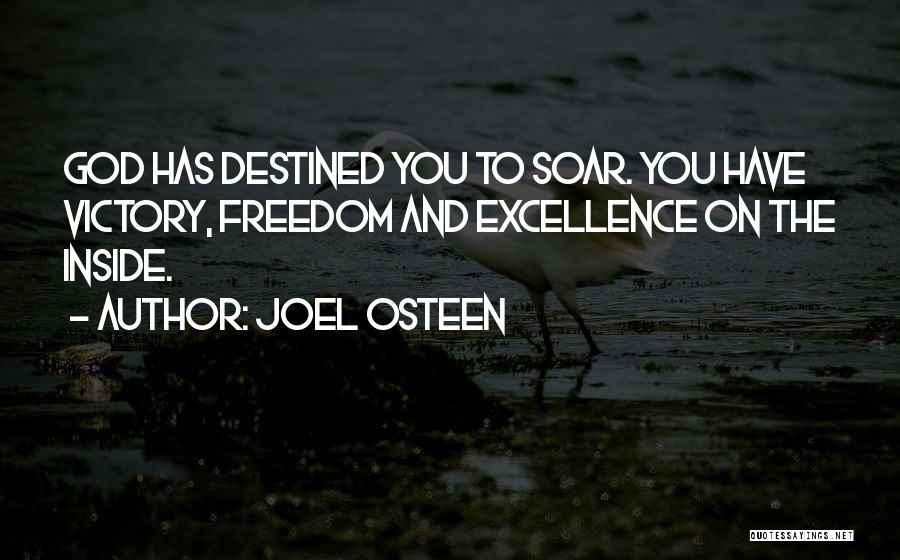 Victory God Quotes By Joel Osteen