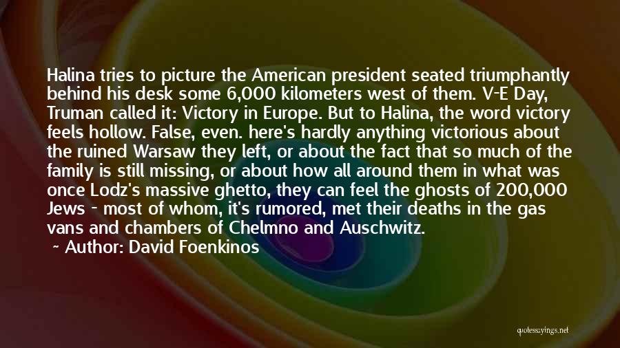 Victory In Europe Quotes By David Foenkinos