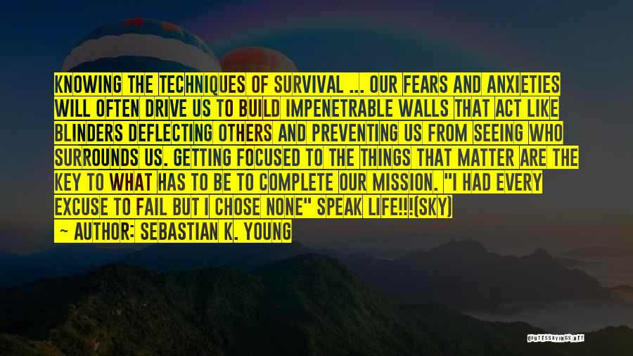 Victory Of Truth Quotes By Sebastian K. Young