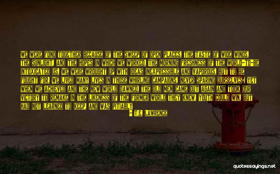 Victory Together Quotes By T.E. Lawrence Victory Together Quotes By T.E. Lawrence