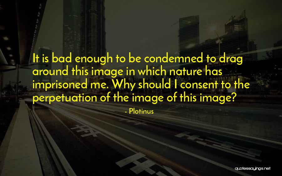 Vida Y Salud Quotes By Plotinus Vida Y Salud Quotes By Plotinus