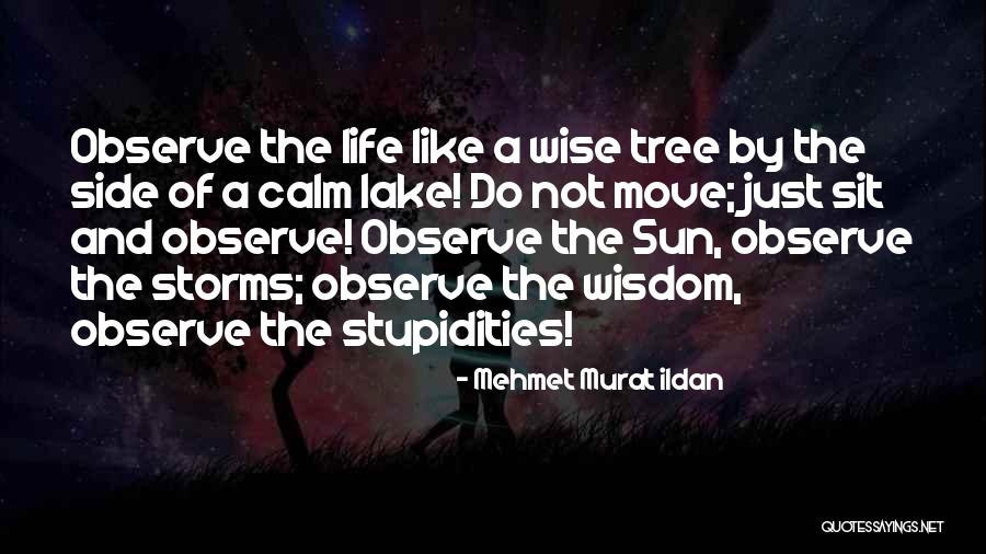 Vidana Last Name Quotes By Mehmet Murat Ildan Vidana Last Name Quotes By Mehmet Murat Ildan