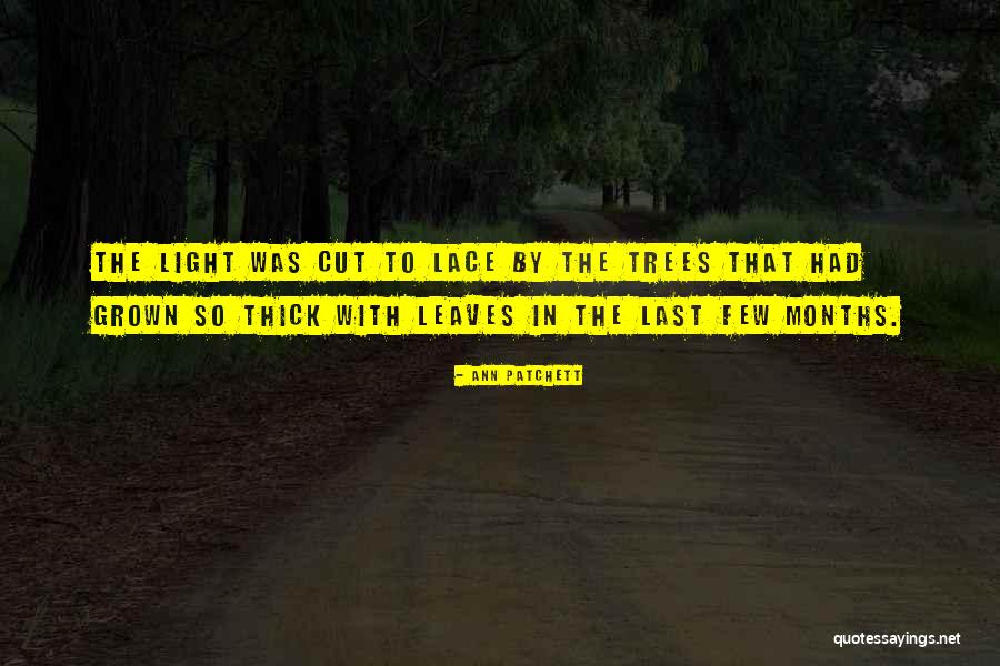 Vidarte Quotes By Ann Patchett Vidarte Quotes By Ann Patchett