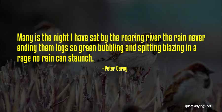 Videlicet Partners Quotes By Peter Carey Videlicet Partners Quotes By Peter Carey