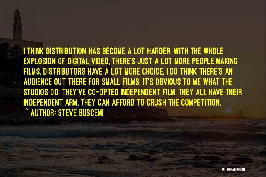 Video Making Quotes By Steve Buscemi