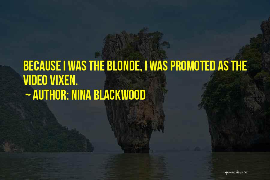 Video Vixen Quotes By Nina Blackwood