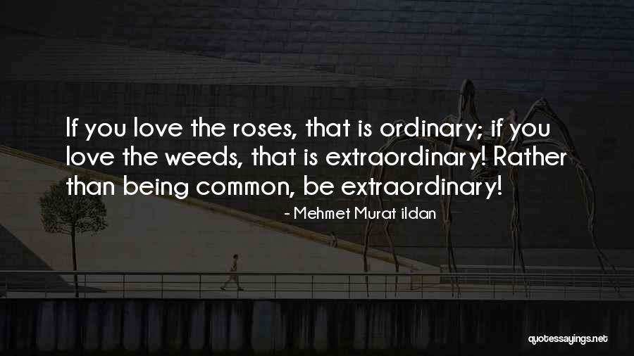 Videoconference Meeting Quotes By Mehmet Murat Ildan Videoconference Meeting Quotes By Mehmet Murat Ildan