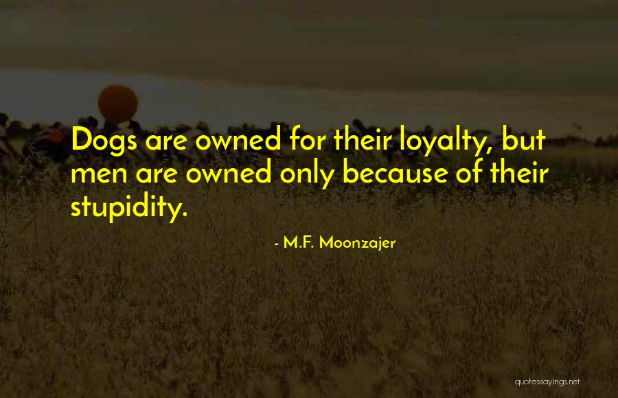 Videographer Life Quotes By M.F. Moonzajer Videographer Life Quotes By M.F. Moonzajer