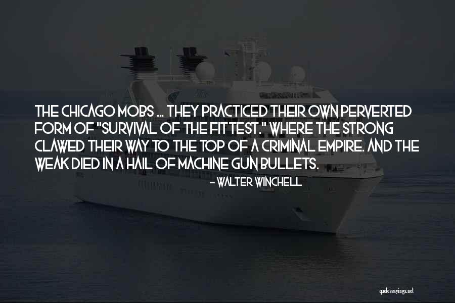 Videography Equipment Quotes By Walter Winchell Videography Equipment Quotes By Walter Winchell