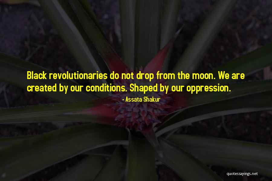 Videotaped Confessions Quotes By Assata Shakur Videotaped Confessions Quotes By Assata Shakur