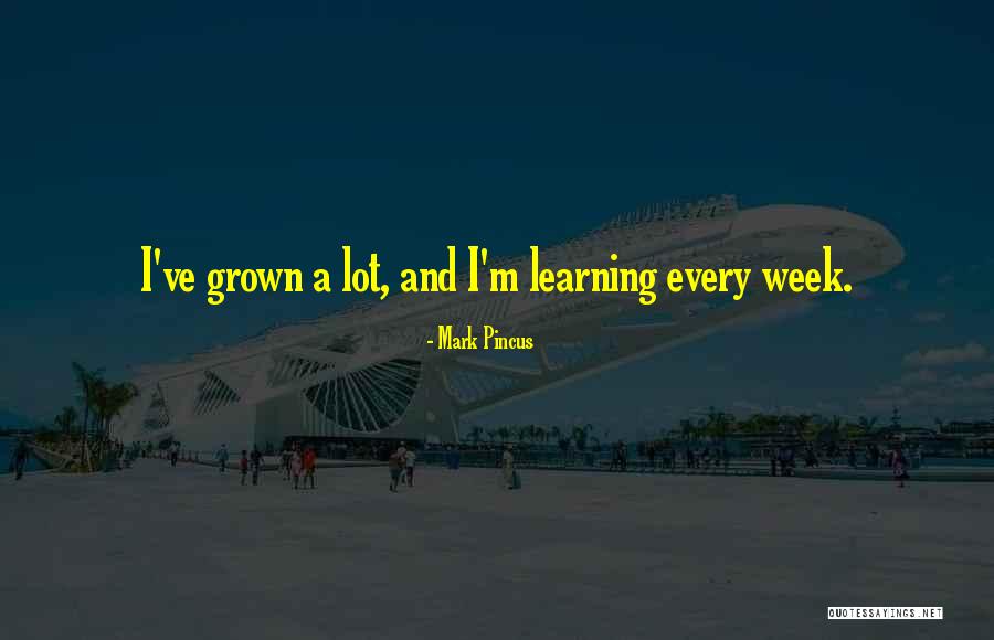 Videotaped Statements Quotes By Mark Pincus Videotaped Statements Quotes By Mark Pincus