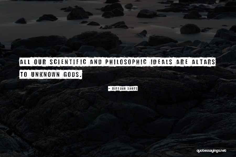 Videtic Sheboygan Quotes By William James Videtic Sheboygan Quotes By William James