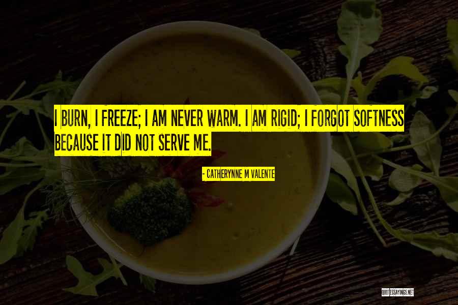 Vidler Quotes By Catherynne M Valente Vidler Quotes By Catherynne M Valente