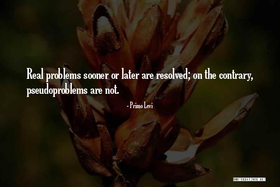 Vidnice Quotes By Primo Levi Vidnice Quotes By Primo Levi