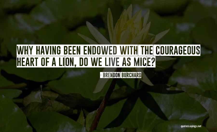 Vidovich Murders Quotes By Brendon Burchard Vidovich Murders Quotes By Brendon Burchard