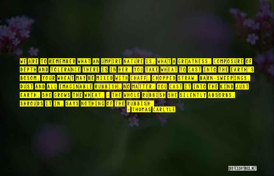 Vidovich Quotes By Thomas Carlyle Vidovich Quotes By Thomas Carlyle