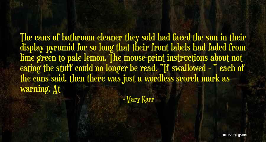 Vidro Quotes By Mary Karr Vidro Quotes By Mary Karr