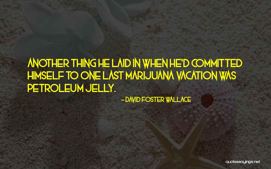 Vidurys Quotes By David Foster Wallace Vidurys Quotes By David Foster Wallace