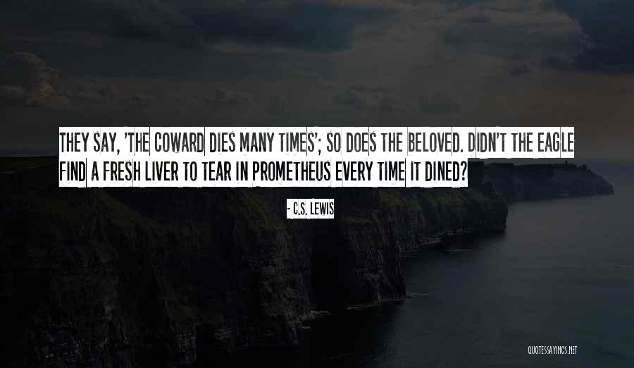 Viehbacher Net Quotes By C.S. Lewis Viehbacher Net Quotes By C.S. Lewis