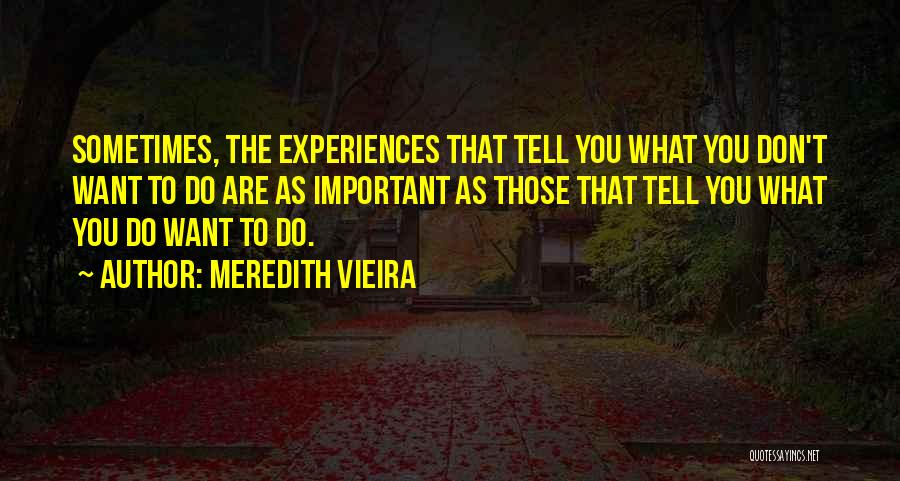 Vieira Quotes By Meredith Vieira